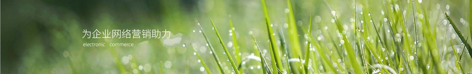 ɽеԴеƼ޹˾